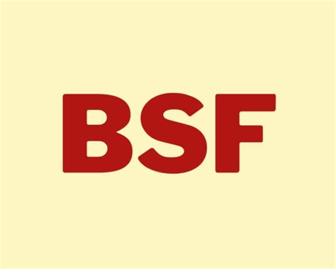 bsf slang|bsf meaning tiktok.